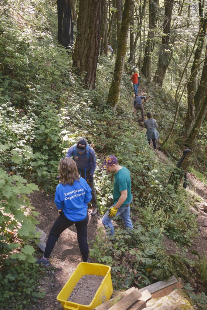 Climbers working along a trail; at least 8 are spread across different spots.